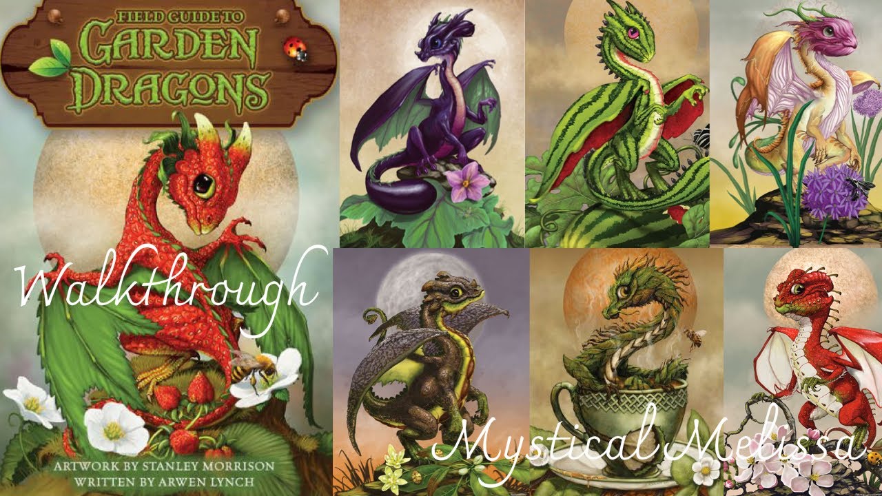 Field Guide to Garden Dragons Unboxing & Walkthrough