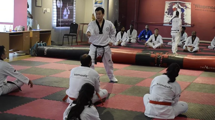 Taekwondo Poomsae Technical Seminar with Grand Mas...