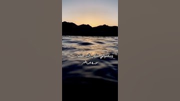 تلاوة نادرة بصوت عبدالرحمن مسعد