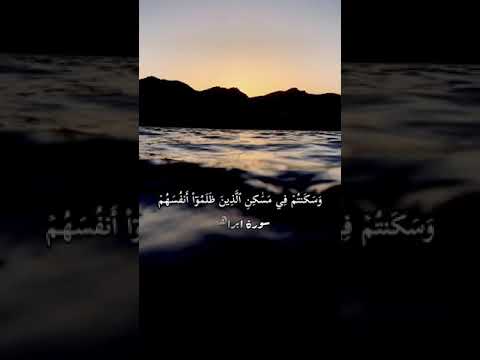 تلاوة نادرة بصوت عبدالرحمن مسعد