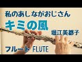 【私のあしながおじさん】キミの風/堀江美都子【フルートで演奏してみた】My Daddy Long Legs "Kimi no Kaze"