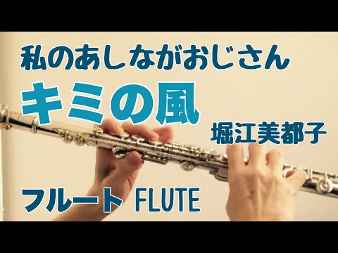 【私のあしながおじさん】キミの風/堀江美都子【フルートで演奏してみた】My Daddy Long Legs "Kimi no Kaze"