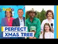 Picking your perfect Christmas tree this season | Today Show Australia