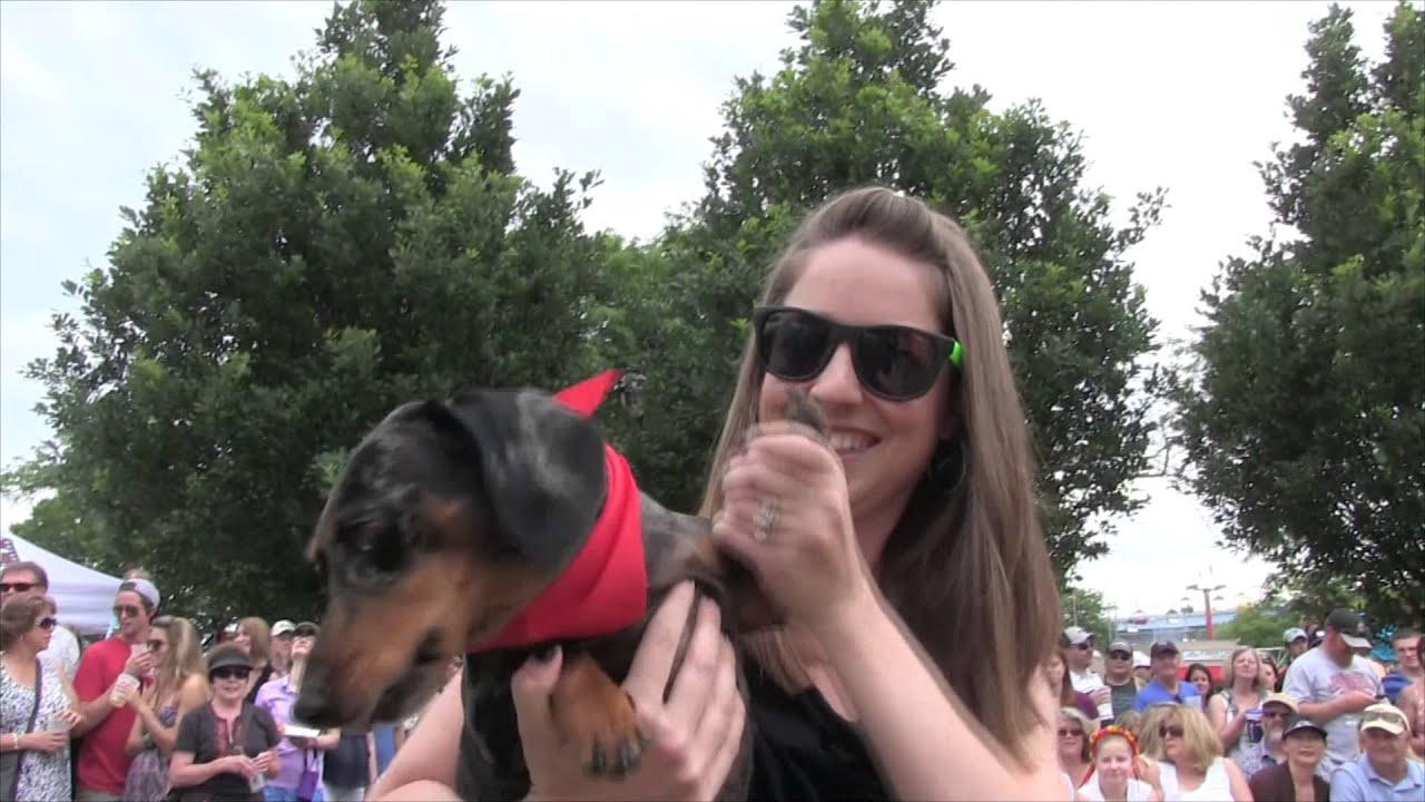 dachshund derby