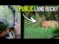 Early Season Archery Hunt (KY PUBLIC Land!!)