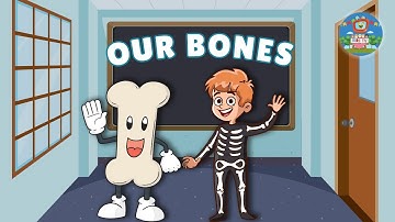How Your Bones Work | Human Body | Science for Kids | My Body Parts