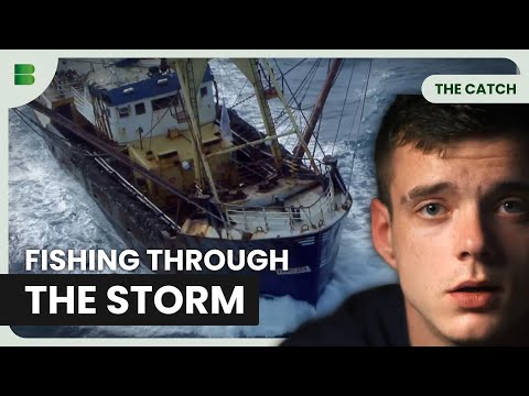 Storm Fishing When Market Prices Crash to Nothing