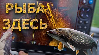 видео: КОНСТРУКТИВНАЯ ЛОВЛЯ ЩУКИ НА СПИННИНГ ОСЕНЬЮ картинка: КОНСТРУКТИВНАЯ ЛОВЛЯ ЩУКИ НА СПИННИНГ ОСЕНЬЮ
