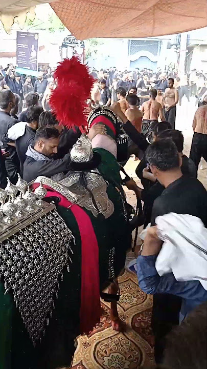 9 Muharam julos Hadala Syedan #muharam #imamhussain