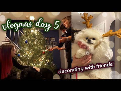 Vlogmas Day 5: Christmas tree decorating with friends (and pups!) || Kelli Marissa Vlogs