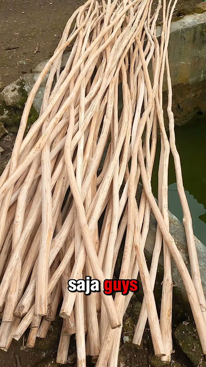 Pria aneh ini mancing ikan pakai sendal jepit guys ‼️ #shorts #fishing #mancing