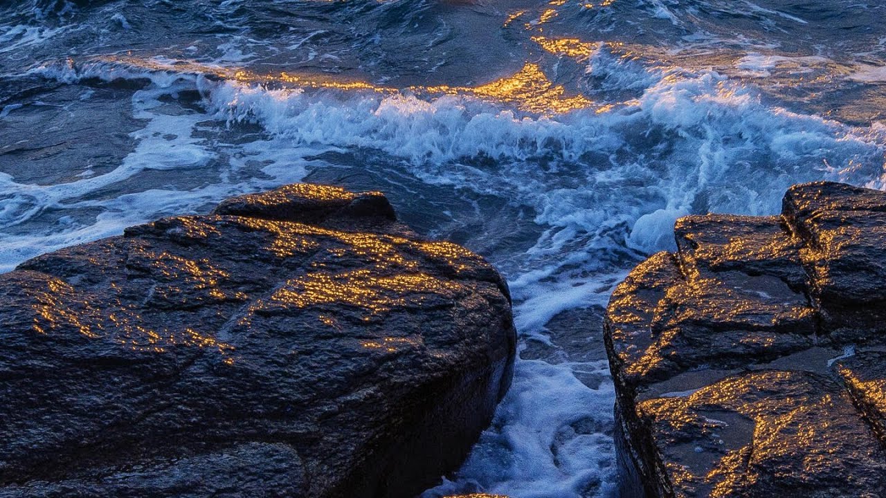 Обучение партнёров бизнесу Travorium 