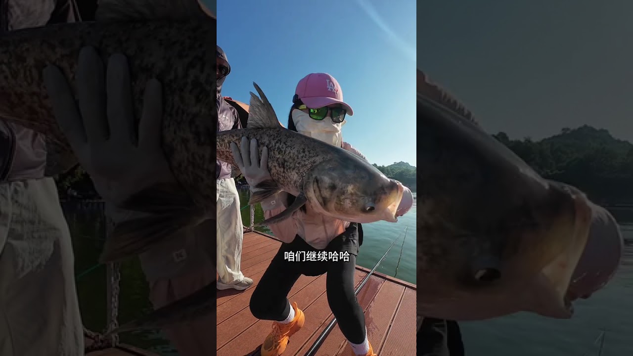 鱼换万物，这次换的值吗😜