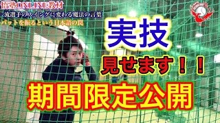 悟塾 野球バッティング教材 一流のスイングになる魔法の言葉 実技