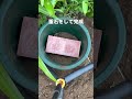 花壇にコンポストを直置きしてみた