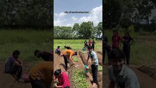 "Behind every bloom is a story of sweat and soil.🌾🌻" #horticulture #agriculture #farming #trending