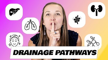 6 major Drainage Pathways Involved in Eliminating Toxins From the Human Body