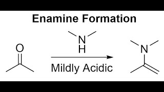 Enamine Formation Mechanism