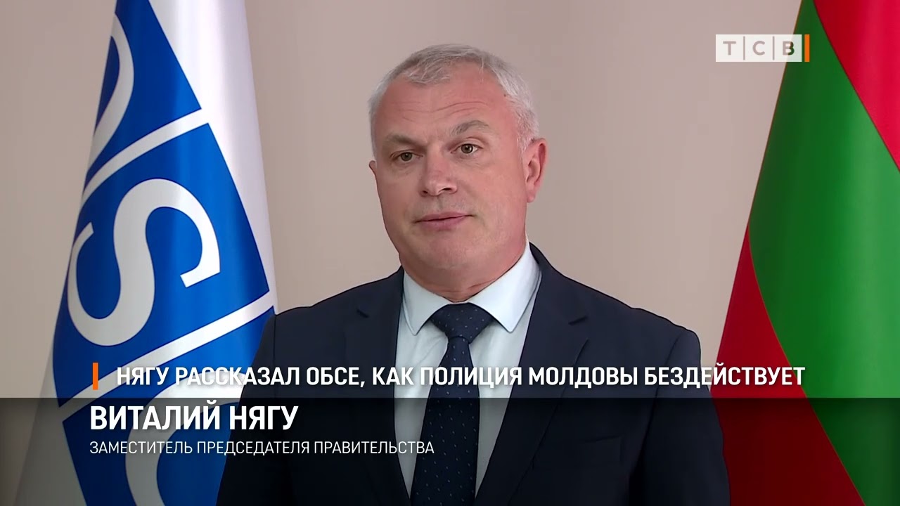 Нягу рассказал ОБСЕ, как полиция Молдовы бездействует