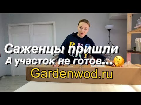 КАКИЕ САЖЕНЦЫ ПОСАДИМ НА УЧАСТКЕ. Распаковка посылки из интернет-магазина Gardenwod.ru