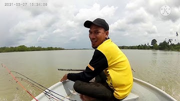 TRIP UDANG GALAH TELUK INTAN | TAK KUMPAU !! PENANGAN PKPB 2021