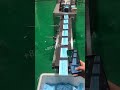 Mask making machine