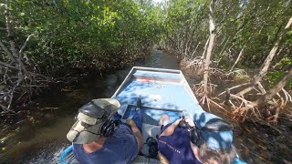 Everglades Air Boat Tour