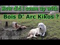 How did i come up with bois d arc kikos  goat farm  kiko goats