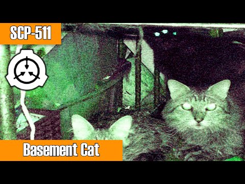 SCP Readings: SCP-511 Basement Cat | object class euclid | hostile animal scp