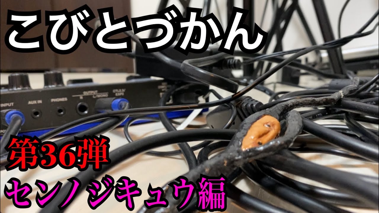 【こびとづかん】センノジキュウ見つけるまで帰れま10！！！