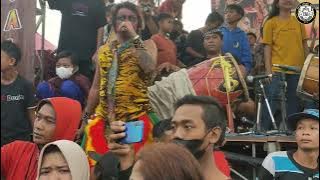 POK AME AME LAGU VIRAL..!! SATU KALANGAN IKUT JOGET ROGO SAMBOYO PUTRO - ELLENA AUDIO