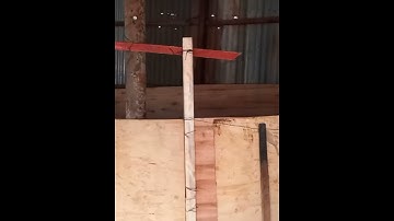 Brooder for Baby chicks|Poultry farming|How to raise chicken