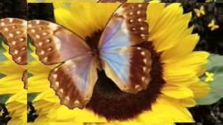 Hazırlayan Türk Oglu Sevdigim Resimi