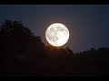 Full moon  free stock footage  free  no copyright