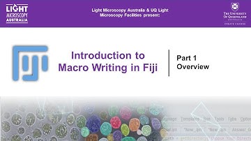 Introduction to Macro Writing in Fiji | Part 1 – Overview
