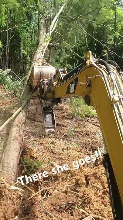 pushen-trees-with-dirt-perfects-cat-304-miniexcavator-dirtperfect