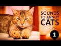 10 SOUNDS TO ANNOY CATS | Make your Cat Go Crazy! HD Vol. 1