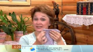 Жилет для кошки Жилет для кошки