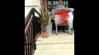 Kaan Özsoy Atatürke Armağan