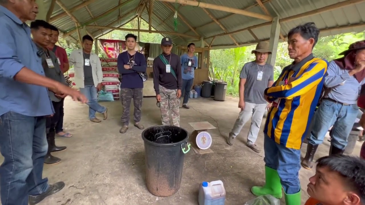 การทำจุลินทรีย์หน่อกล้วย