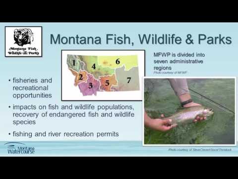 Water Resources in Montana