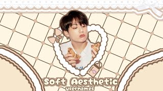 -ˋ₊˚. 🍘 ꒱ Soft Aesthetic Usernames 2021⋆ˊˎ- screenshot 2