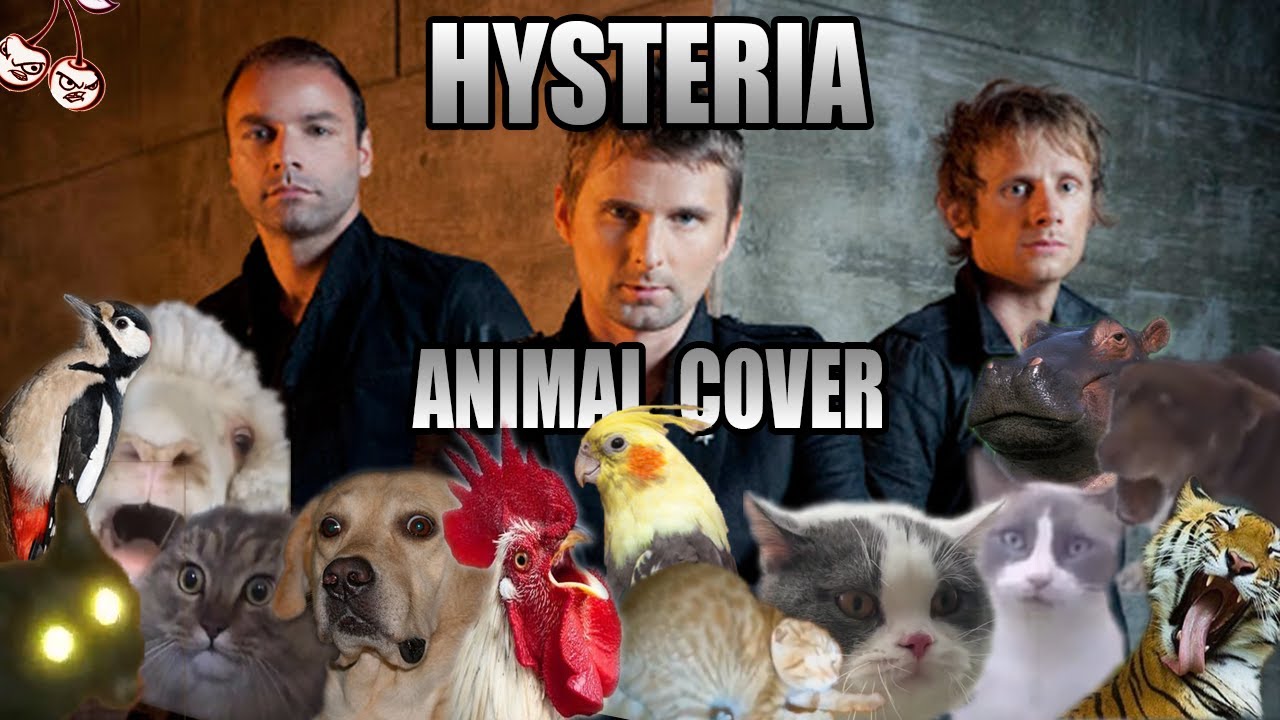 Muse - Hysteria (Animal Cover)