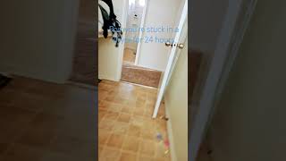 Pov Youre Stuck In A Dryer