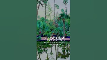 قران الكريم اللهم #آمين #يارب حالات واتساب قران يريح القلب🤲 #الله #الكريم