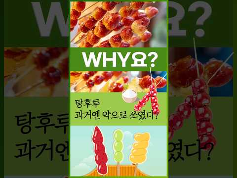 [<strong>Why요</strong>?] 탕후루 과거엔 약으로 쓰였다? #shorts