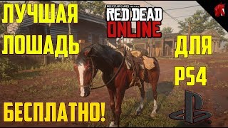 RED DEAD ONLINE - ЛУЧШАЯ ЛОШАДЬ БЕСПЛАТНО (PS4) RED DEAD ONLINE - ЛУЧШАЯ ЛОШАДЬ БЕСПЛАТНО (PS4)
