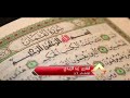 قرآن كريم بصوت جميل يشرح القلب سورة لقمان