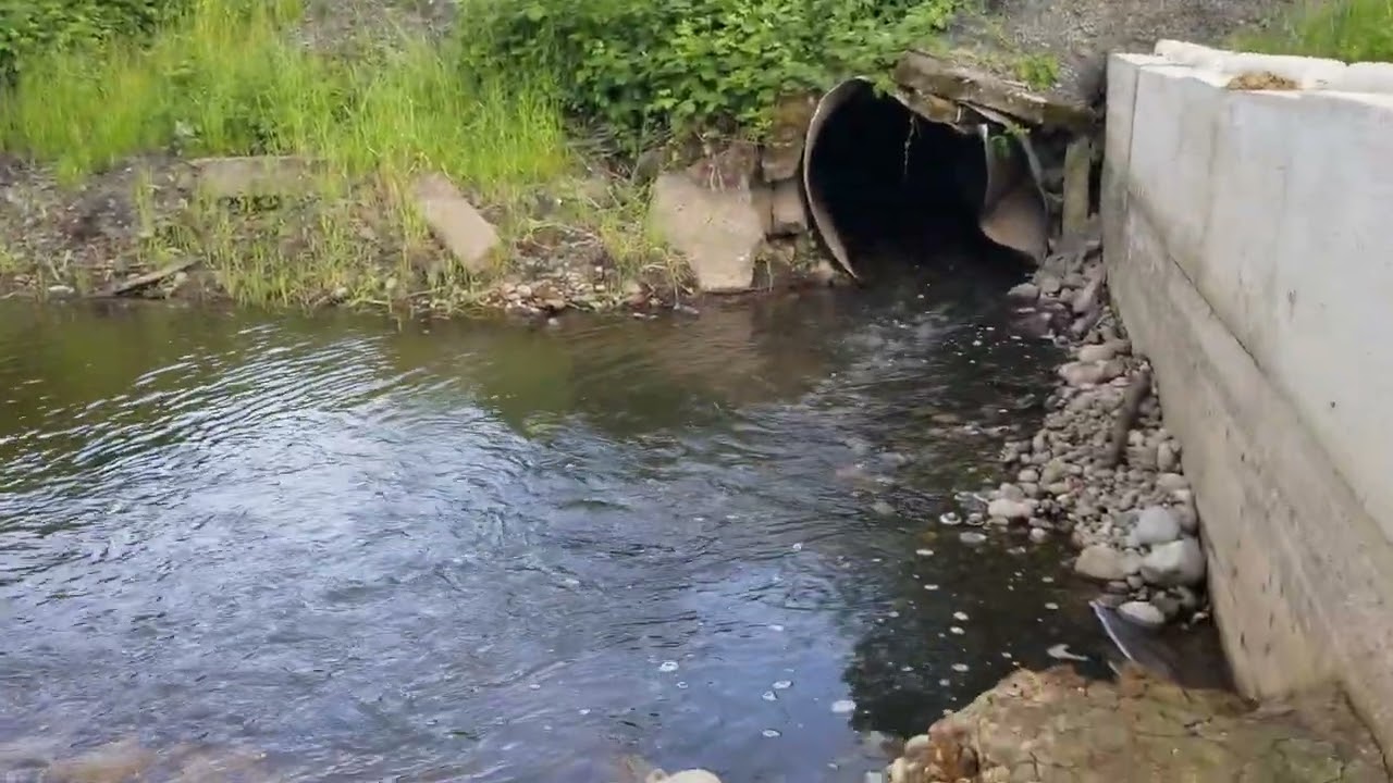 Back woods of lewis county Washington. China creek ☆haunted creek☆