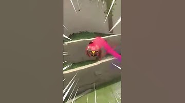 roomba go brrr #shorts